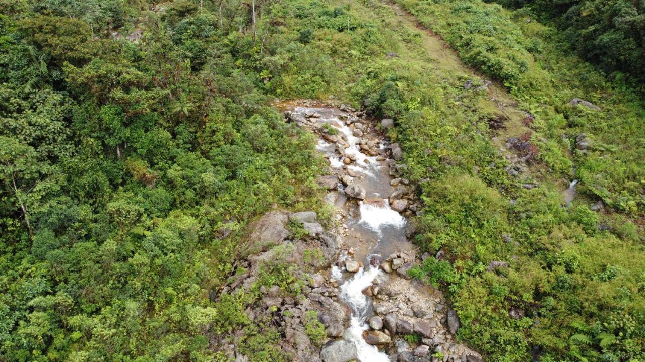 Hostal De La Montana Ecoturismo Мокоа Экстерьер фото