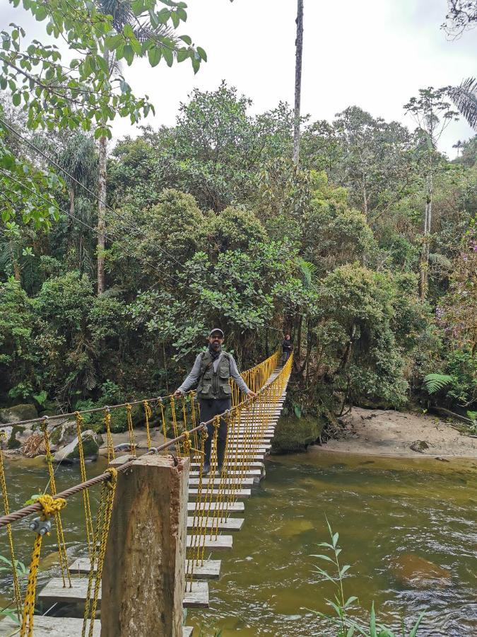 Hostal De La Montana Ecoturismo Мокоа Экстерьер фото