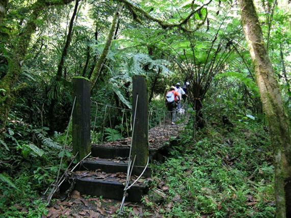 Hostal De La Montana Ecoturismo Мокоа Экстерьер фото