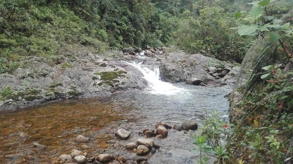 Hostal De La Montana Ecoturismo Мокоа Экстерьер фото